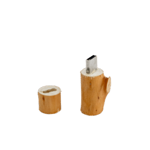 Drveni USB stick grančica USBm64Fn